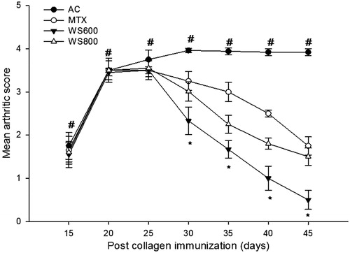 Figure 5. Mean arthritic score of rats from day 0 to the 45th day post collagen immunization. NC: normal control, AC: arthritic control, MTX: methotrexate (0.3 mg kg−1), WS 600; W. somnifera (600 mg kg−1), WS 800: W. somnifera (800 mg kg−1) treated rats with ± SEM, N = 6, *p < 0.05 versus AC, #p < 0.05 versus NC.
