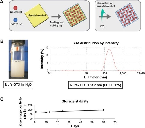 Figure 1 Physiochemical characterization of Nufs-DTX.Notes: (A) A simple schematic of generation of Nufs-DTX. (B) The Nufs-DTX dispersion solution in DI water and size distribution by Zetasizer. (C) The physical stability of Nufs-DTX for 2 months at room temperature.Abbreviations: DI, deionized; DTX, docetaxel; Nufs, nanoparticulation using fat and supercritical fluid; PVP, polyvinylpyrrolidone; PDI, polydispersity index.