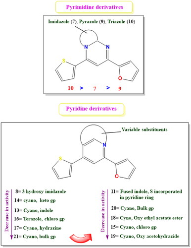 Figure 14. The suggested SAR for the studied pyrimidine and pyridine derivatives.