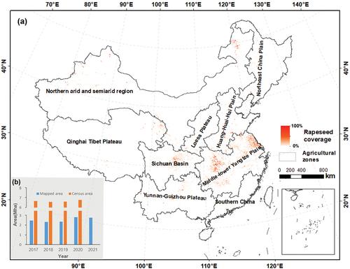Figure 7. (a) Chinese rapeseed coverage map at 500 m resolution in 2020 (the original 20 m resolution was resampled to 500 m resolution for a better illustration in the thumbnail figure); (b) China rapeseed mapping area and census area, 2017–2021 (Note: census area in 2021 is unavailable).