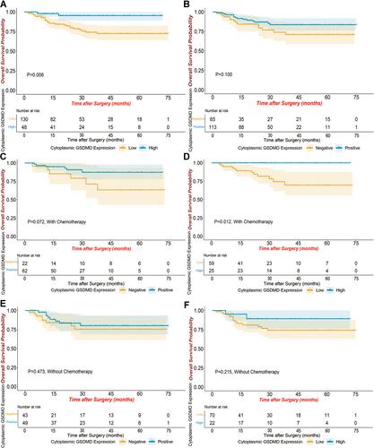 Figure 3 Survival curves of GSDMD expression drawn by “Survfit” function in R with Kaplan–Meier method and Log rank test. High group vs low group in cytoplasmic GSDMD expression (A). Positive group vs negative group in cytoplasmic GSDMD expression (B). Positive group vs negative group in cytoplasmic GSDMD expression of patients with chemotherapy (C) or without chemotherapy (E). High group vs low group in cytoplasmic GSDMD expression of patients with chemotherapy (D) or without chemotherapy (F).