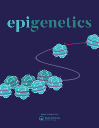 Cover image for Epigenetics, Volume 19, Issue 1, 2024