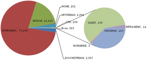 Figure 1. Distribution of annotated single nucleotide polymorphisms (SNPs). The highest number of SNPs was detected in the intergenic region, followed by the intron; the secondary pie chart shows the distribution of 393 SNPs detected in the exons of the genes.