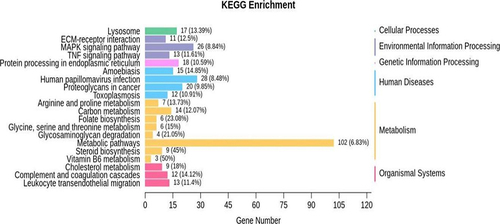 Figure 8 Gene Ontology functional classification of differentially expressed genes in HepG2 cells treated with wild Baicalin.