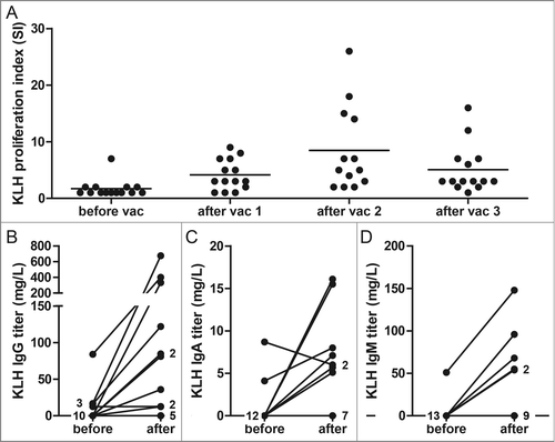 Figure 2. KLH-specific immune responses before and after dendritic cell (DC) vaccination. KLH-specific T cell proliferation was analyzed after each DC vaccination during the first vaccination cycle in peripheral blood mononuclear cells of melanoma patients. The proliferative response to KLH is given as a proliferation index (proliferation with KLH/proliferation without KLH) (A). KLH-specific IgG (B), IgA (C) and IgM antibodies (D) were quantitatively measured before and after each vaccination cycle in sera of vaccinated patients. The best Ig response was shown for each patient. Each dot represents 1 patient or the number of patients as indicated.