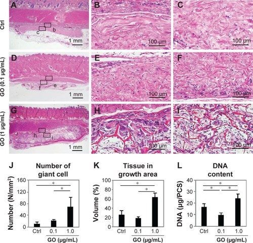 Figure 4 Rat subcutaneous tissue response to GO scaffold.Notes: Histological findings for control (A–C), 0.1 µg/mL GO scaffold (D–F), and 1 µg/mL GO scaffold (G–L) in rat subcutaneous tissue at 10 days. Rectangles (b, c, e, f, h, and i) in (A), (D), and (G) are enlarged in (B), (C), (E), (F), (H), and (I), respectively. Cell and tissue ingrowth behavior was remarkable in 1 µg/mL GO scaffold. H&E staining. (J–L) In vivo assessment of each scaffold for number of giant cells, tissue ingrowth area, and DNA content (N=6, mean ± SD). *P<0.05. Original magnification (A, D, G) 3×, (B, C, E, F, H, I) 50×.Abbreviations: Crtl, control; GO, graphene oxide; H&E, hematoxylin–eosin; SD, standard deviation.