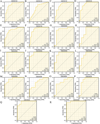 Figure 9 ROC curve analysis. ROC curves for (A) Ccl5, (B) Il18, (C) Cybb, (D) Fcgr2b, (E) Myd88, and (F) Ccr2 in the GSE30122 dataset. ROC curve of (G) Ccl5, (H) Il18, (I) Cybb, (J) Fcgr2b, (K) Myd88, and (L) Ccr2 in the GSE30528 dataset. ROC curves of (M) Ccl5, (N) Il18, (O) Cybb, (P) Fcgr2b, (Q) Myd88, and (R) Ccr2 in the GSE30529 dataset.