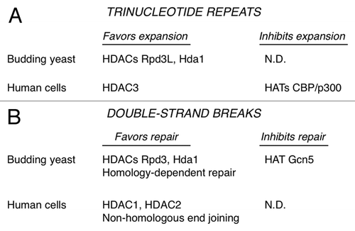 Figure 1. Summary of HDACs and HATs described in the text.