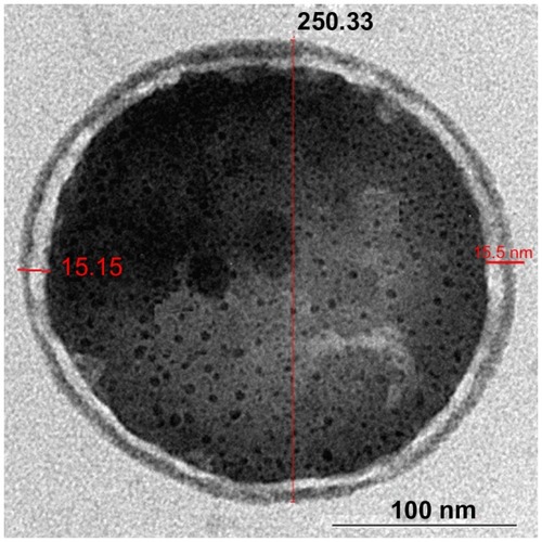 Figure 6 Internal structure of nanoparticles.