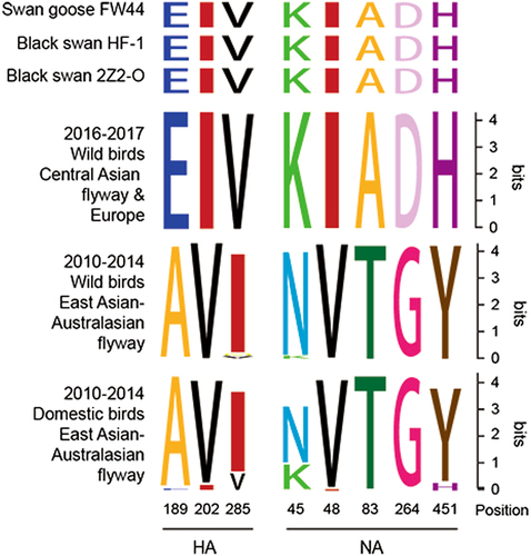 Fig. 3 SeqLogo analysis of amino acid substitutions in H5N8 viruses.HA and NA (H3 and N2 numbering) are shown