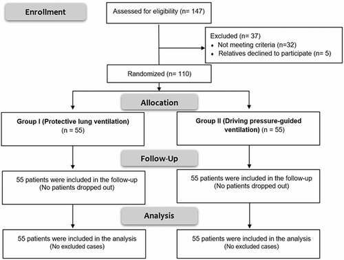 Figure 1. CONSORT flowchart of the study groups