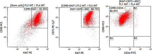 Figure 4 Cytometric evaluation of cell proliferation using Ki67 in analyzed MSCs. Navios Cytometer (Beckman Coulter).