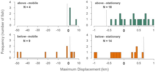 Figure 5. Frequency distribution representing the direction of maximum displacement of Northern Hog Suckers around the Cedar Grove low-water crossing. Mobile fish above and below the crossing are represented on the two left panels while stationary fish above and below the crossing are represented on the right panels. Release sites (0, bold) and the position of the crossing relative to release sites (dashed verticle line) are represented on the x-axis. Positive displacement reflects upstream movement and negative displacement reflects downstream movement.