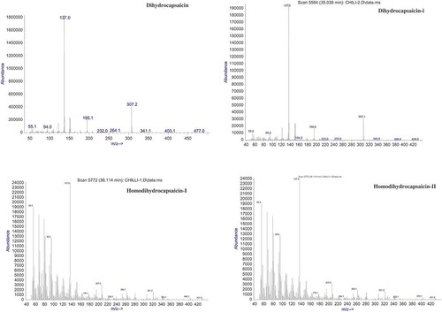 FIGURE 4 EI-mass spectra of α-tocopherol and sterols present in chili sample.