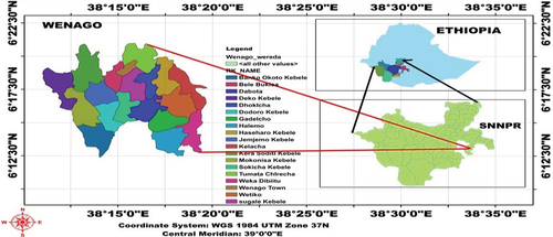 Figure 1. Location map of the study area. Source: Ethio GIS (2021).