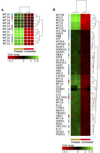 Figure 3 Over-expressed genes in the ZnO NPs-treated K562 cells compared with the untreated K562 cells. Hierarchical cluster analysis with heatmap presentation was conducted on the over-expressed genes (FC≥4; p≤0.008; corrected p≤0.05) that significantly over-represented the biological processes “cellular response to zinc ions and negative regulation of growth” (A) and “response to chemicals” (B). The color range represents the normalized signal value of probes (log2 transformation and 75 percentile shift normalization).