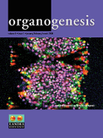 Cover image for Organogenesis, Volume 4, Issue 1, 2008