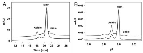 Figure 3 (A) Charge heterogeneity of IgG1 revealed by cation exchange chromatography. In this assay, the Pichia-produced IgG1 (lower trace) has 15% acidic variants, 84% main fraction and 1% basic variants. The CHO produced IgG1 (upper trace) has 23%, 61% and 16% acidic, main and basic fractions, respectively. The CEX separation was performed using Dionex ProPac WCX-10 column (4 × 250 mm) with a salt gradient elution and UV detection at 280 nm wavelength. The mobile phase A contained 25 mM sodium phosphate at pH 6.5 and the mobile phase B contained 25 mM sodium phosphate, 300 mM sodium chloride and 0.05% sodium azide at pH 6.5. The salt gradient elution was 4%–22% mobile phase B in 28 min at 1 mL/min flow rate. (B) Charge heterogeneity of IgG1 revealed by imaged capillary isoelectric focusing. The acidic, main and basic fractions assessed by this assay are 24, 75, 1% for Pichia-produced IgG1 (lower trace) and 33, 62, 5% for CHO-produced IgG1 (upper trace), respectively. Imaged capillary isoelectric focusing was carried out using Convergent Bioscience iCE280 analyzer. Samples were diluted to 0.25 mg/mL in a solution containing 0.35% methylcellulose, a mixture of pH 3–10 and 8–10 carrier ampholytes, and two pI markers of 7.6 and 9.5. The prepared samples were focused in a 5 cm long, 100 µm ID × 200 µm OD silica capillary and detected at 280 nm. Focusing time was 1 min at 1.5 kV then 8 min at 3 kV.