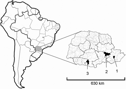 Figure 1 Map of South America, highlighting the state of Paraná, Brazil, indicating collection sites (municipalities) for species of Hypostomus studied herein: (1) Curitiba; (2) Ponta Grossa; and (3) Mangueirinha.