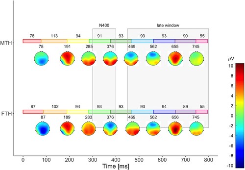 Figure 3. Bump topologies and stage durations for separate models more than half (MTH) and fewer than half (FTH) from quantifier onset. The values above bump topologies correspond to the average onset of the bump. The coloured bars indicate the stage durations. The values above the coloured bars show the mean stage durations. Additionally, the gray lines indicate the ERP analysis time windows from Augurzky et al. (Citation2020).