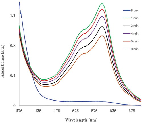 Figure 1. UV-vis spectra showing the signal generation and increase over time when 500 µL of habanero pepper was run with 2.2 mL of FRAP reagent and 300 µL of water were run in a standard FRAP reaction and the reaction followed at 595 nm over time