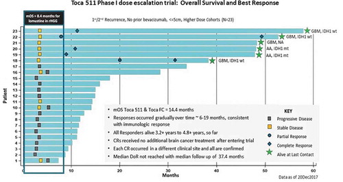 Figure 2. ‘Swim lane’ representation of data from the Phase 1 resection study in recurrent high-grade glioma patients, higher dose cohorts (‘Phase 3 eligible’): Toca 511 and Toca FC leads to 26% long-term survival and 22% durable complete response (CR) rate. All responses are durable CRs and associated with long-term survival (see Cloughesy et al. Citation40)