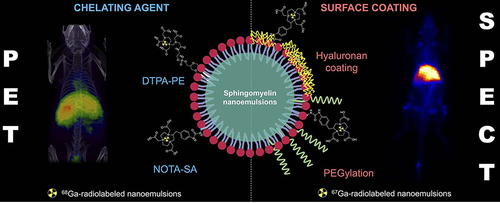 Figure 5 Ga-67 and 68-radiolabeled sphingomyelin nanoemulsions using DTPA-PE and NOTA-SA as chelating ligand for PET and SPECT imaging and the demonstration of nanoemulsions surface modification by polyethylene glycol (PEG) and hyaluronic acid.