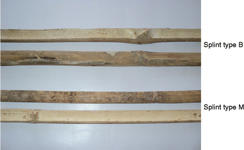 Figure 2 Type of bamboo splints.