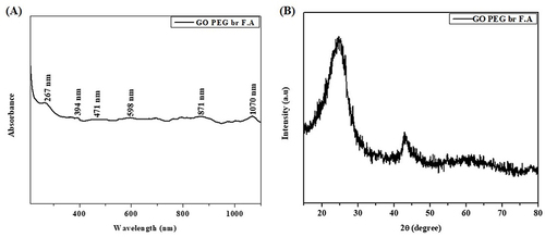Figure 1 UV-visible spectroscopy and XRD analysis of the synthesized GO/PEG/Bru-FA NCs. Absorbance measurements show several characteristic peaks at 267 nm, 394 nm, 471 nm, 598 nm, 871 nm, and 1070 nm, which suggest the occurrence of the GO/PEG/Bru-FA NCs (A). The results proved the occurrence of multiple peaks, which indicates that GO/PEG/Bru-FA NCs have a face-centered spherical structure with an average crystallographic size of 26.57 nm (B).
