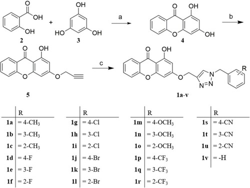 Scheme 1 Synthesis of compounds 1a-v. Reagents and conditions: (A) P2O5/CH3SO3H, 85°C, 2.5 h; (B) Propargyl bromide, K2CO3, KI, acetonitrile, 6 h; (C) Corresponding benzyl azide, DMSO, CuSO4.5H2O, Vit-Na, r.t., 2 h.