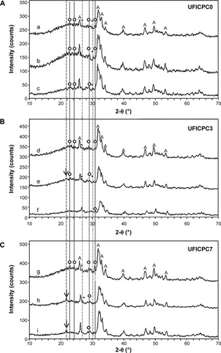 Figure 6 XRD patterns of UFICPC composites before (a, d, g) and after immersion in enzymatic PBS for 1 day (b, e, h) and 7 days (c, f, i): (a–c) for UFICPC0 (A), (d–f) for UFICPC3 (B), and (g–i) for UFICPC7 (C).Notes: The monetite and α-TCP phase composition of fiber-incorporated composites (B and C) disappeared and converted to apatite phase faster than pristine CPC cement (A). A: apatite, *: monetite, o: α-TCP, arrow: PCL.Abbreviations: CPC, calcium phosphate cement; PBS, phosphate buffer solution; PCL, poly(ε-caprolactone); TCP, tricalcium phosphate; UFICPC, ultrafine fiber-incorporated CPC; XRD, X-ray diffraction.