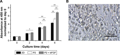 Figure 8 Effect of hydrogel-released bFGF on NIH-3T3 cell proliferation.Notes: (A) Proliferation curve of cultured NIH-3T3 cells as determined by the CCK-8 test. The P2 hydrogel alone and a traditional 2D petri dish were used as the controls. The data from both 2D culture samples and 3D hydrogel constructs were normalized to day 0. One asterisk (*) indicates a P-value smaller than 0.05 (P<0.05). Two asterisks (**) indicate a P-value smaller than 0.01 (P>0.01). Data points represent the average of three samples. (B) Optical micrograph of NIH-3T3 cells embedded in the bFGF-releasing hydrogel after 4 days of culture.Abbreviations: 2D, two-dimensional; 3D, three-dimensional; bFGF, basic fibroblast growth factor; CCK-8, Cell Counting Kit-8; P2, RLDLGVGVRLDLGVGV.