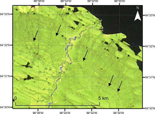 Figure 10. Abandoned lake shorelines (indicated by black arrows) shown in Landsat ETM+ (R,G,B 7,5,2) imagery. Location is given in Figure 1.