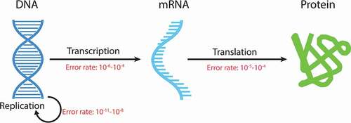 Figure 1. Elucidation of the central dogma and typical error rate in each step.