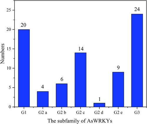 Figure 2. Distribution of AsWRKY TF subfamilies. Group names are shown on the abscissa, and the number of proteins in each group is shown on the ordinate.