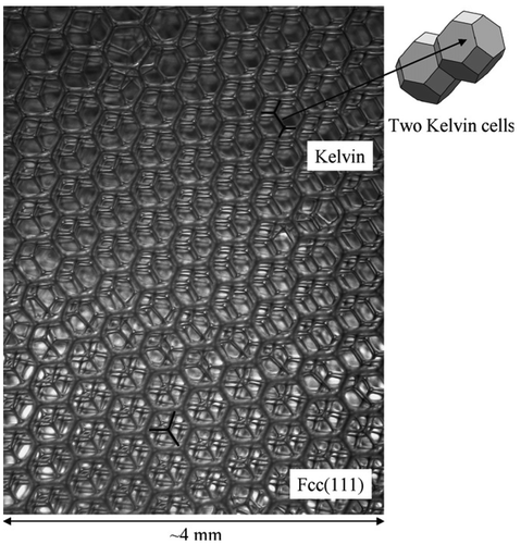 Figure 5. This sample (with a thickness corresponding to about ten layers of cells) shows perfectly ordered Kelvin (bcc) cells at the top and fcc at the bottom, in equilibrium under gravity. From Citation15.