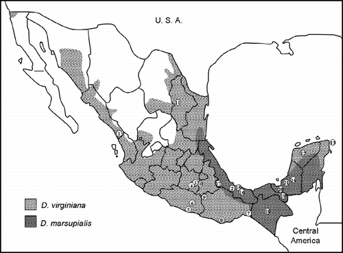 Figure 1.  Geographical distribution of the Virginia Opossum (D. virginiana) and the Common Opossum (D. marsupialis) in Mexico (modified from Gardner Citation1973). Numbers correspond to specimen localities described in Table I.