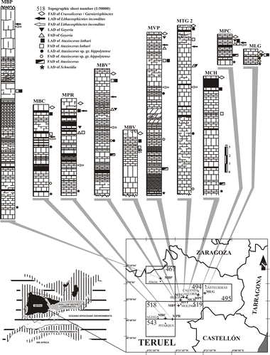 Fig. 1 Location and palaeogeography of the studied sections in E–NE Spain with indication of ammonite records relevant for biostratigraphic correlation. Lithological columns show limestones, marly-limestones and marls from the Loriguilla Formation. Numbers of topographic sheets (1:50,000) for location: 467 (Muniesa), 494 (Calanda), 495 (Castelserás), 518 (Montalbán), 519 (Aguaviva), 543 (Villarluengo). Palaeogeography according to Olóriz (Citation2000).