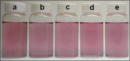 Figure 1. Photographs of Au/SiO2-NH2 particle colloid solutions that were prepared with APES concentrations of a 5 × 10− 5, b 1 × 10− 4, c 1.5 × 10− 4, d 2 × 10− 4 and e 2.5 × 10− 4M