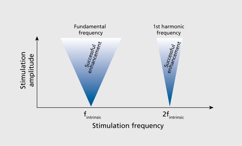 Figure 4. Arnold's tongues. Effects of periodic perturbations are limited to stimulation frequencies close to the intrinsic (fundamental) frequency and its harmonics. Inverted triangles (“tongues”) delimit areas where for increasing stimulation amplitude, a broader range of stimulation frequencies are effective. f, frequency