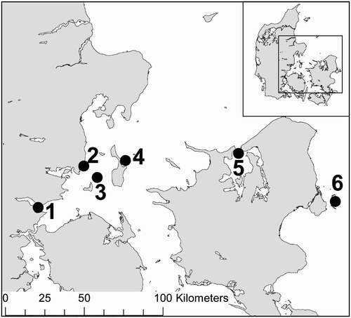 Figure 1. Spatial distribution of Danish sites where Eiders were collected for X-ray investigations: Horsens Fjord (1), Hov Røn (2), Svanegrunden (3), Stavns Fjord (4), Isefjorden (5) and Saltholm (6).