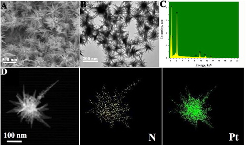 Figure 1. (A) Typical FE-SEM and (B) TEM images of Pt-LSSUs@PAA nanostructures. (C) EDS of Pt-LSSUs@PAA nanosturctures. (D) EDX elemental mapping of Pt-LSSUs@PAA nanosturctures.