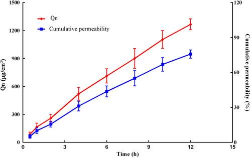 Figure 3 In vitro permeation profiles of PAE-NEs. The solid lines in red represent accumulation percutaneous permeability and the solid lines in blue represent the accumulation permeability (n=5).