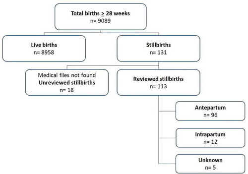 Figure 1. Flowchart of the total births and stillbirths in Suriname in 2017.