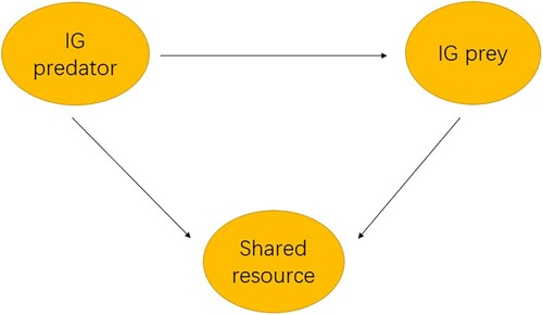 Figure 1. The schematic diagram of intraguild prey–predator model.