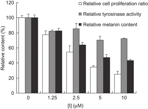 Figure 5.  Effects of hinokitiol on cell vability, tyrosinase activity, and melanin content of B16 melanoma cells.