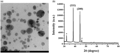 Figure 4. The images of (a) TEM and (b) XRD pattern of the synthesized AgNPs.