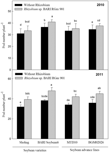 Fig. 3. Effect of inoculation with Rhizobium sp. BARIRGm901 on pod yield of soybean genotypes grown in gray terrace soil in 2010 and 2011.