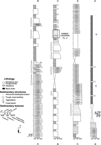 Fig. 6 Lithostratigraphic section of the Paramillo and Agua de la Zorra formations at locality C, showing the main lithofacies and the position of the fossil forest level. PF = Paramillo Formation; AZF = Agua de la Zorra Formation; FL V = fossiliferous level.