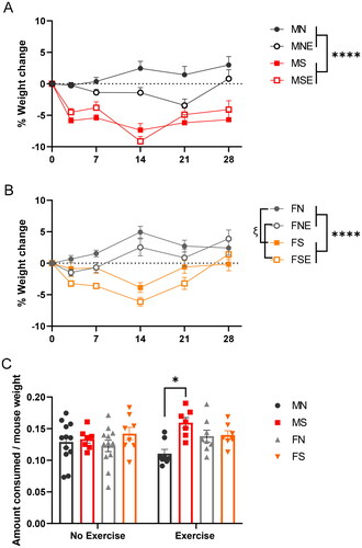 Figure 3. Chronic stress induces weight loss in males and females. (A) male and (B) female mice (n = 8 or 12 per group) were weighed on days 0, 3, 7, 14, 21 and 28 of UCMS and percent change in weight from baseline weight is plotted above. Error bars represent SEM. Male and female data were analyzed separately. The effects of stress and exercise on weight were analyzed by repeated-measures three-way ANOVAs. Significant main effect of stress “*” and exercise “ξ” were identified. One symbol: p ≤ 0.05, four symbols: p ≤ 0.0001. (C) Food intake was measured on day 12. Following an overnight isolation, food was weighed per mouse to determine the amount of food consumed during a routine isolation stressor. Amount of food consumed was normalized to weight. Error bars represent SEM. A three-way ANOVA revealed a significant main effect of stress “*”. One symbol: Bonferroni-corrected p ≤ 0.05.
